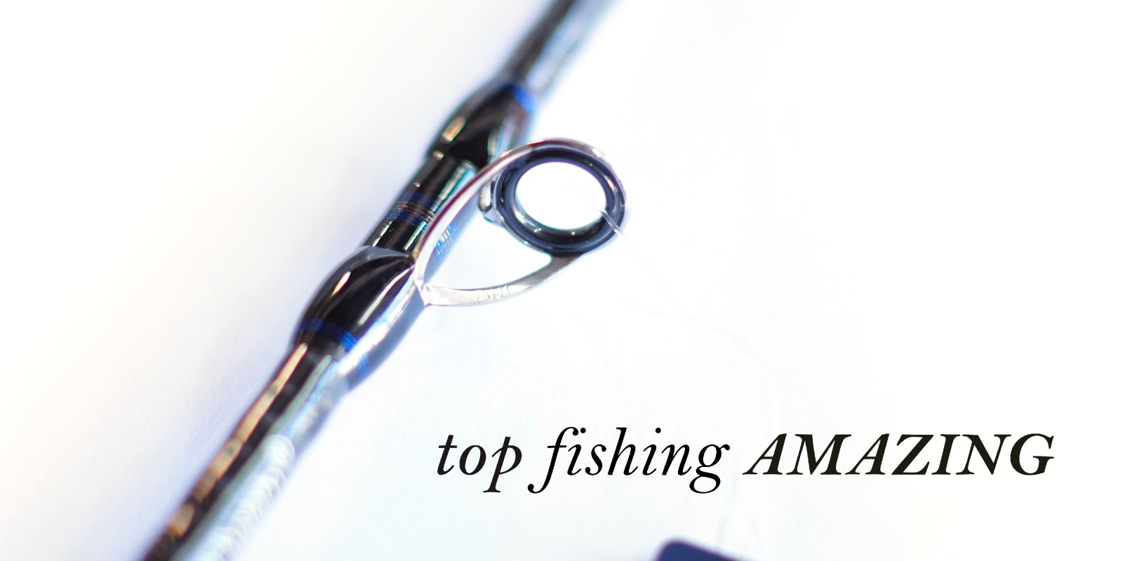 Canne Top Fishing Amazing, des anneaux Fuji