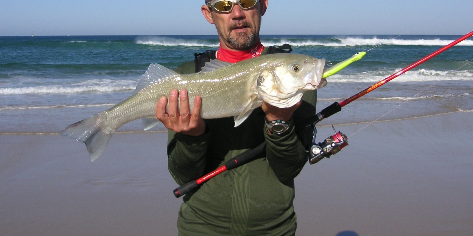 Tests & Avis Cannes à Pêche Casting Carnassiers - Fish and Test