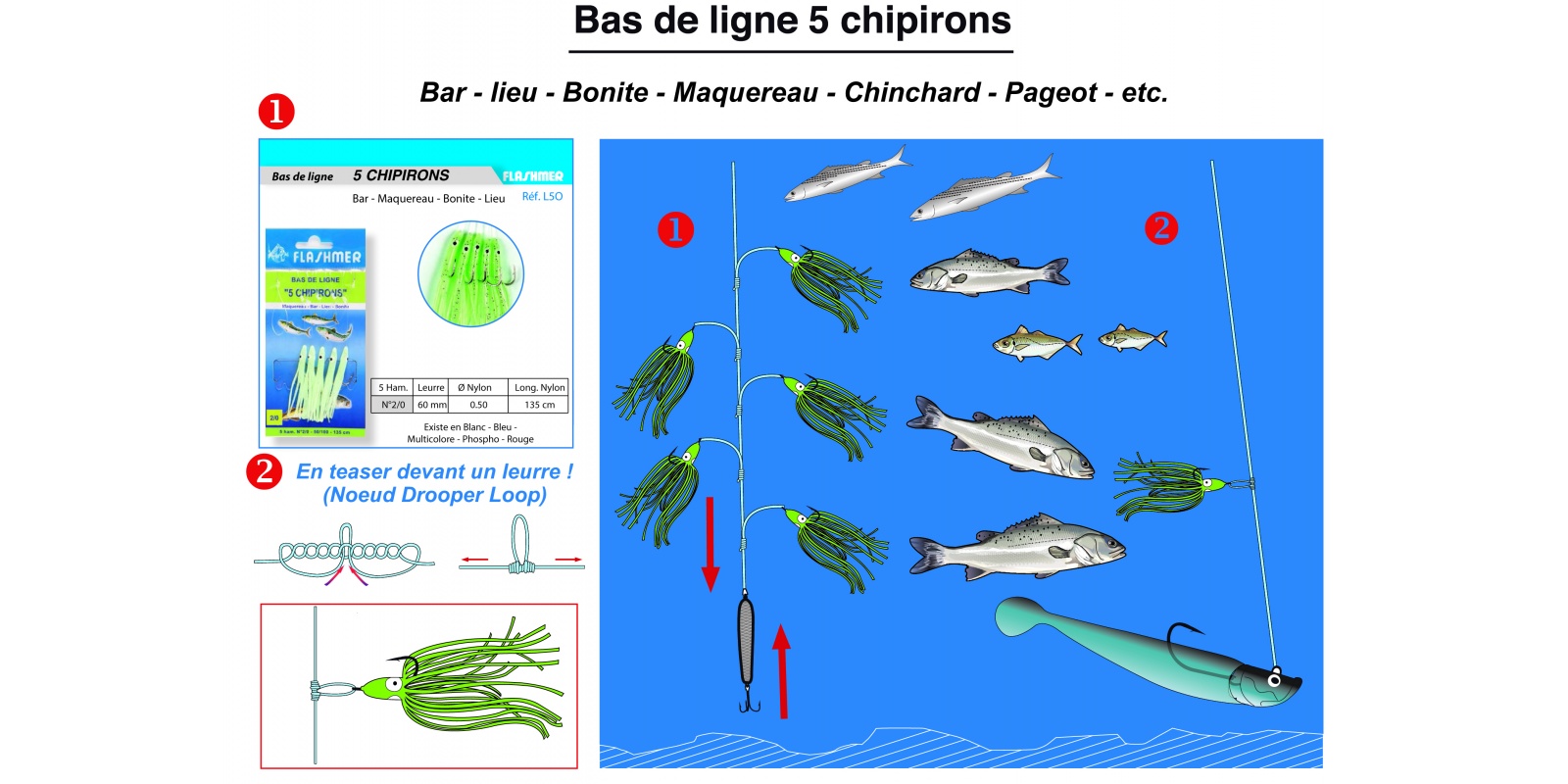 Bas de ligne 5 chipirons