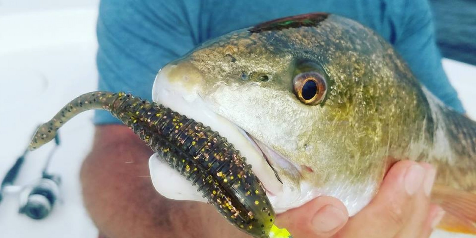 bass assassin. bass assassin.