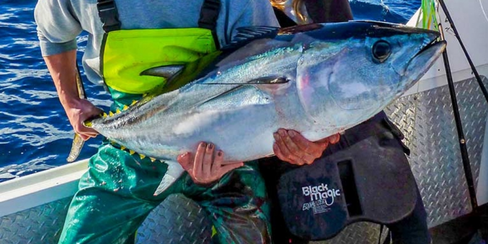 baudrier et harnais black magic en pêche 