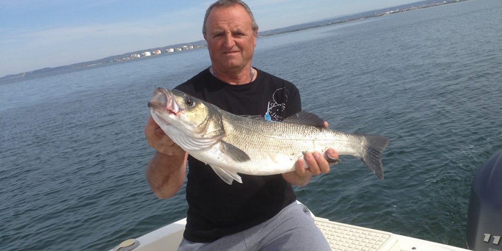 Comment pêcher le bar et le loup aux leurres de surface en mer