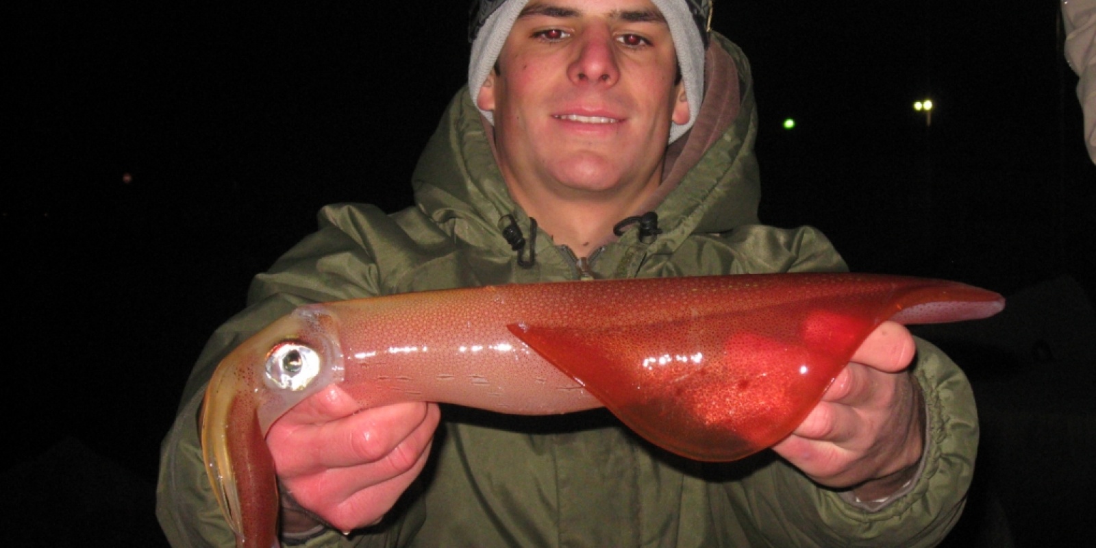 un calamar rouge dans toute sa splendeur
