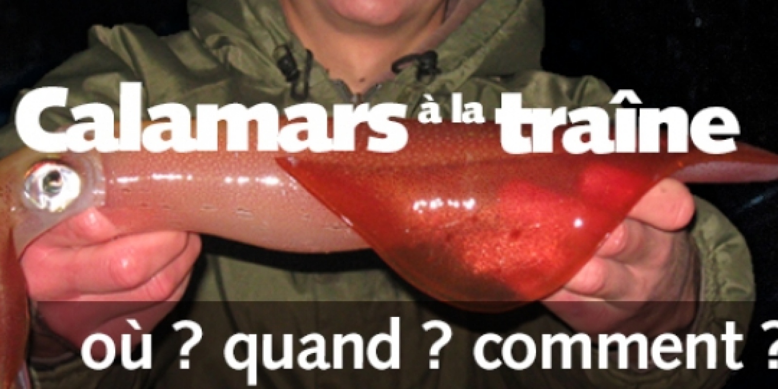 calamar a la traine calamar a la traine