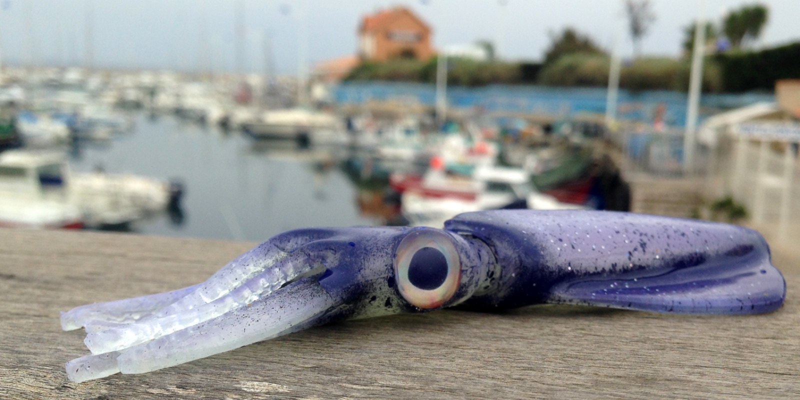 Le Kraken UV Violet en Essai dans le port de Sausset Le Kraken UV Violet en Essai dans le port de Sausset