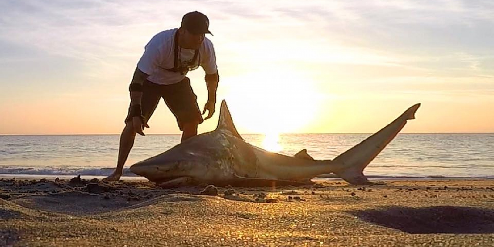 dennis-verreet-peche-au-requin-du-bord-2018