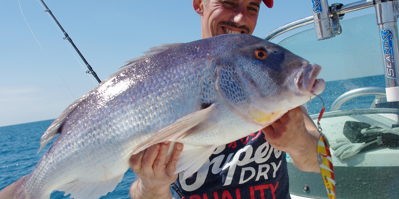 Denti 5,5 kg pris au Slow Jigging avril 2015