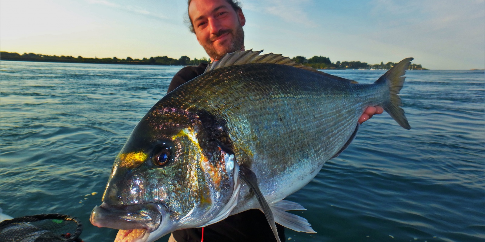 Une dorade royale de plus de 4 kg dans de puissants courant offre un combat impressionnant !