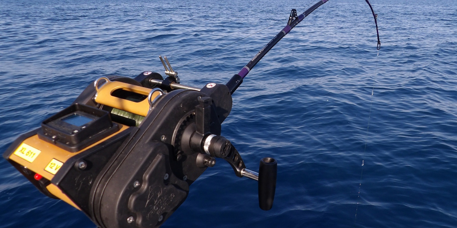 Fabien actionne la récupération maximale du moulinet électrique XL 611 Kristal Fishing pour ferrer le calamar. La canne ploie : pendu ! Fabien actionne la récupération maximale du moulinet électrique XL 611 Kristal Fishing pour ferrer le calamar. La canne ploie : pendu !