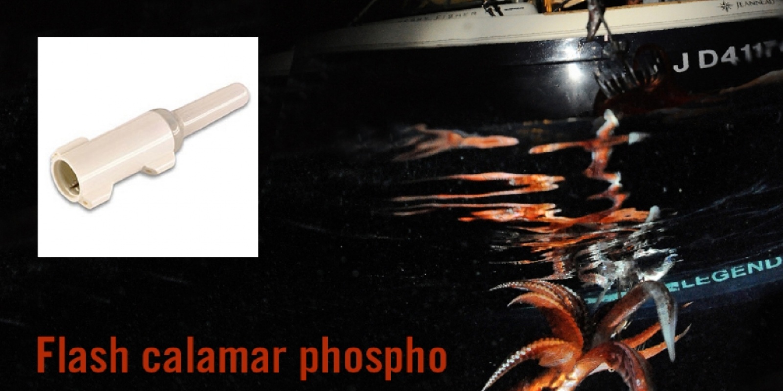 Lampe calamar à flash phospho, en situation de pêche