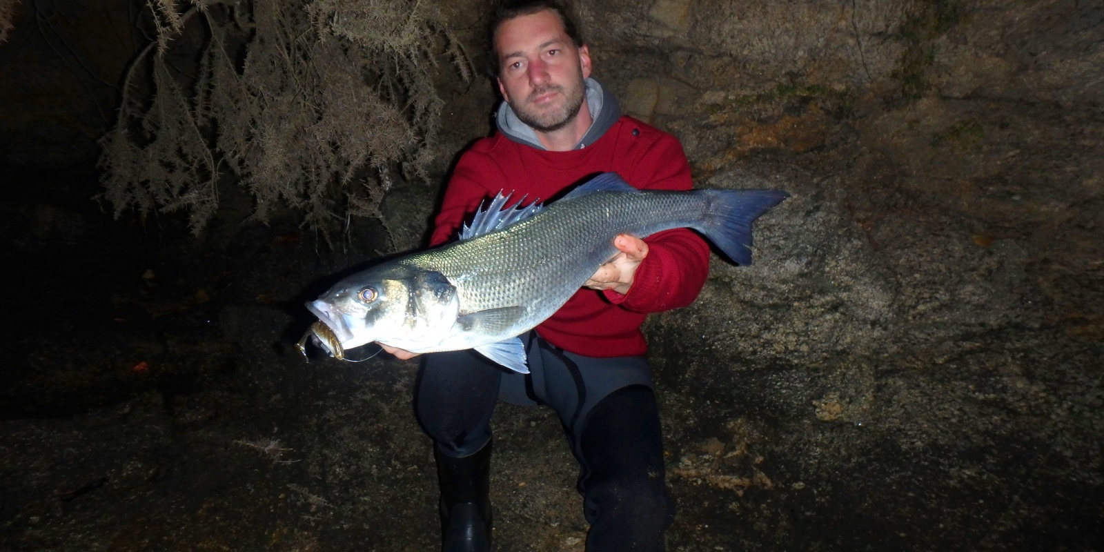 Joli bar pris au Pulse Yum coloris Arkansas Shiner Joli bar pris au Pulse Yum coloris Arkansas Shiner