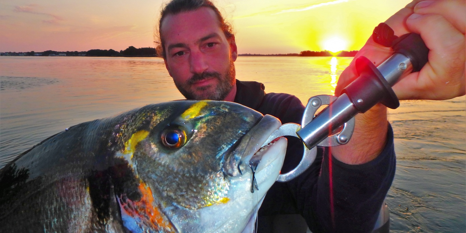 L'avantage d'un montage wishbone pour la pêche de la dorade