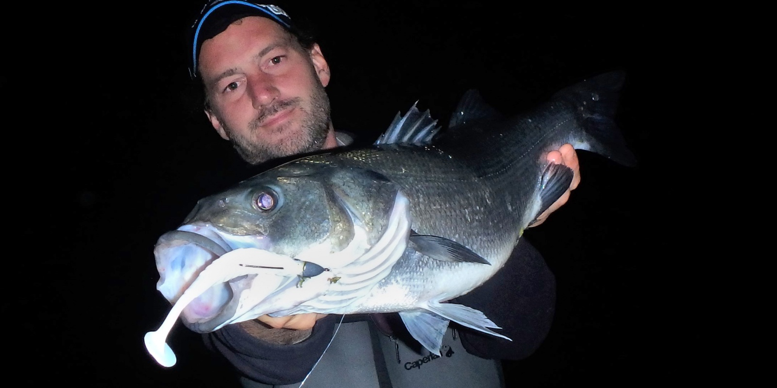 Le pulse est redoutable pour les pêches du bord de nuit