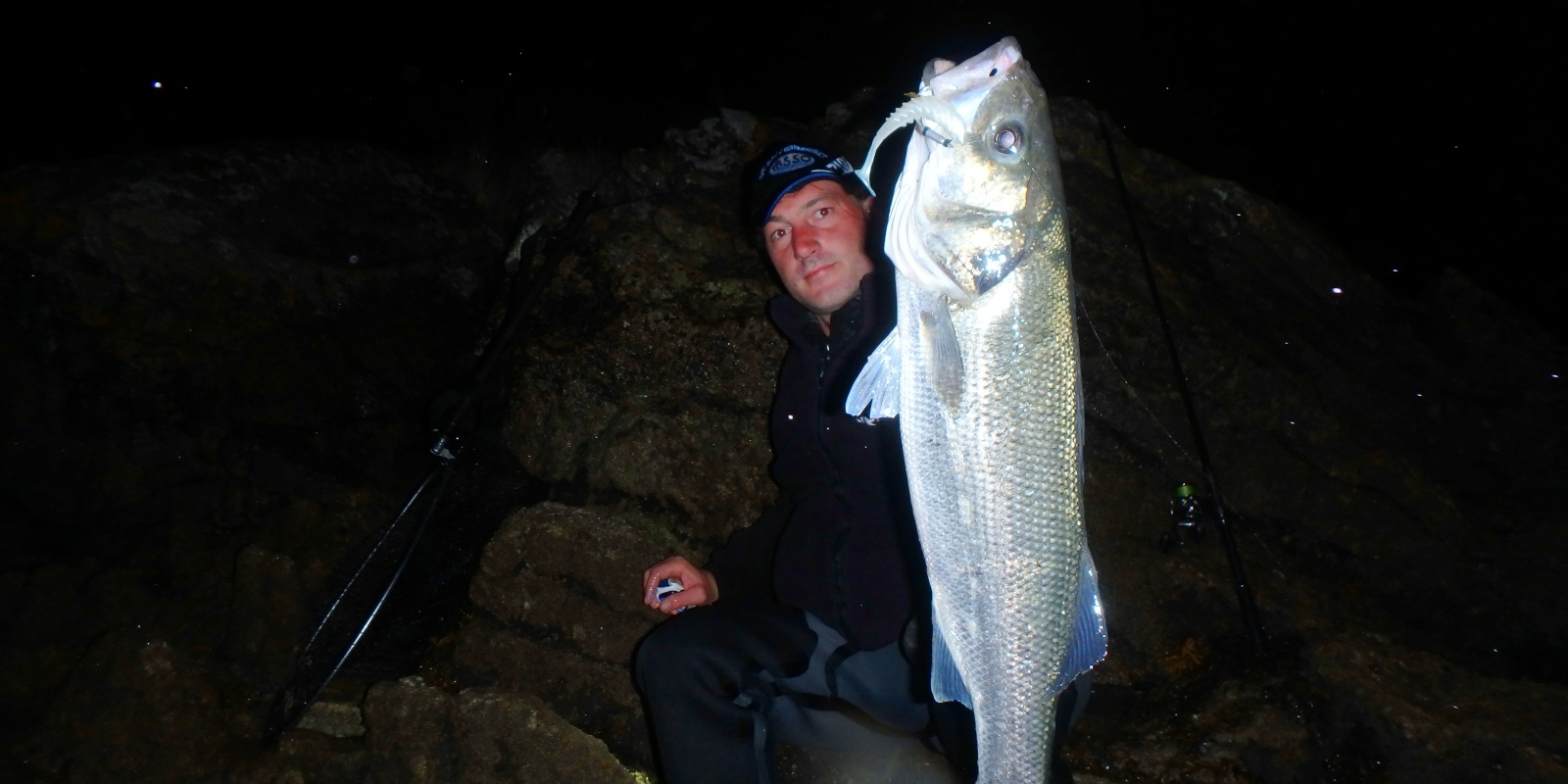 Le shad pulse blanc est une valeur sûre, la nuit !