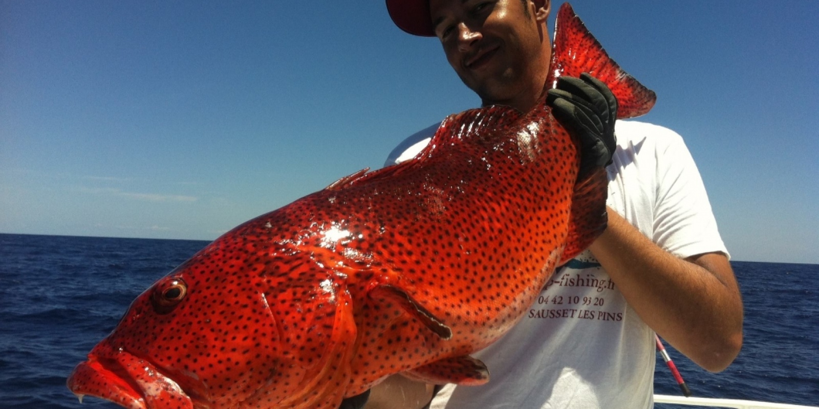 leurre heru wahoo en peche exotique avec bruno leurre heru wahoo en peche exotique avec bruno