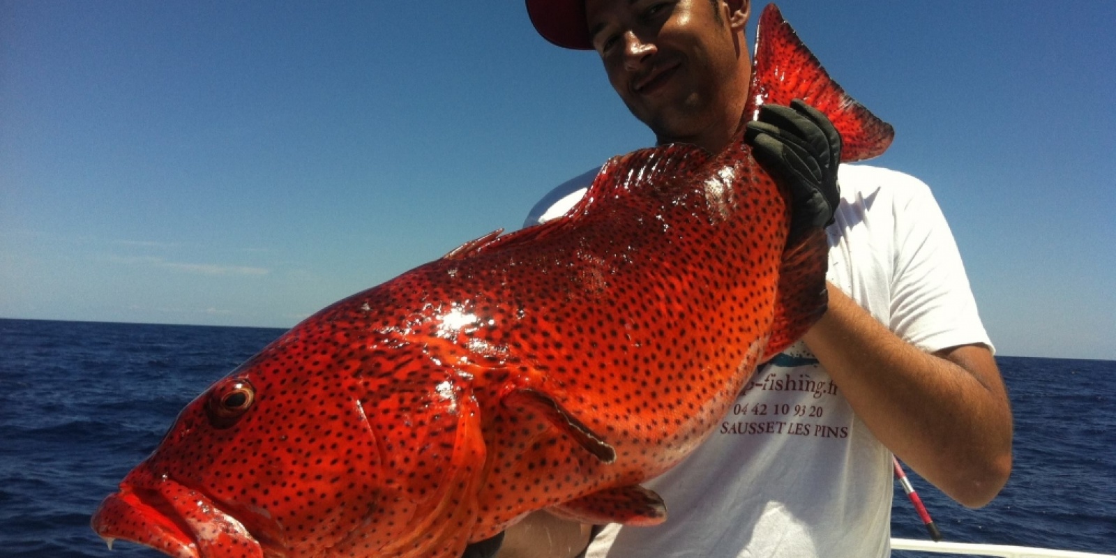 Pêche exotique  Guide des leurres -  - Dingue d'eau, comme vous !