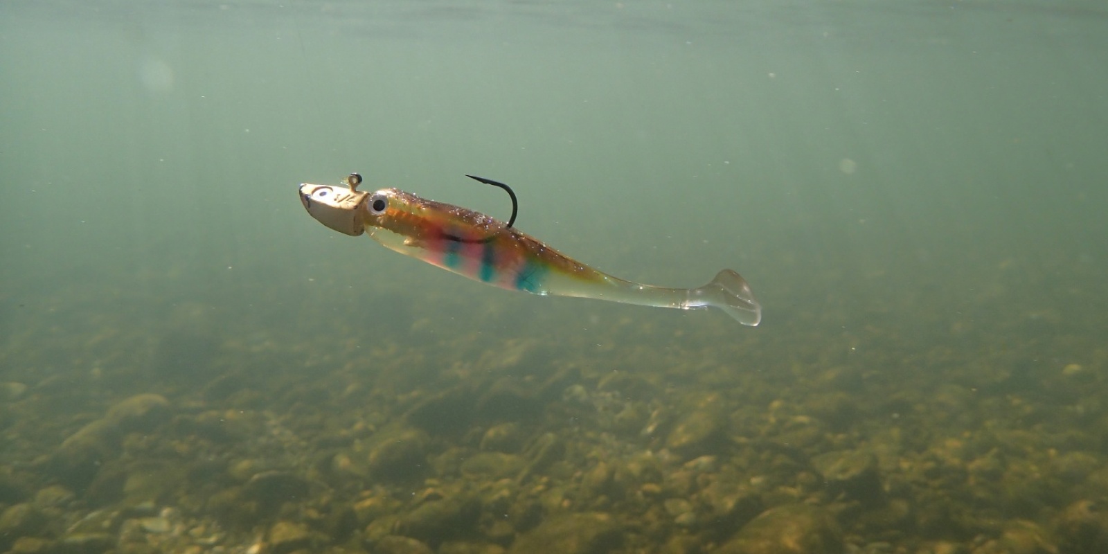 Leurre souple couleur Perche pour la pêche du Brochet