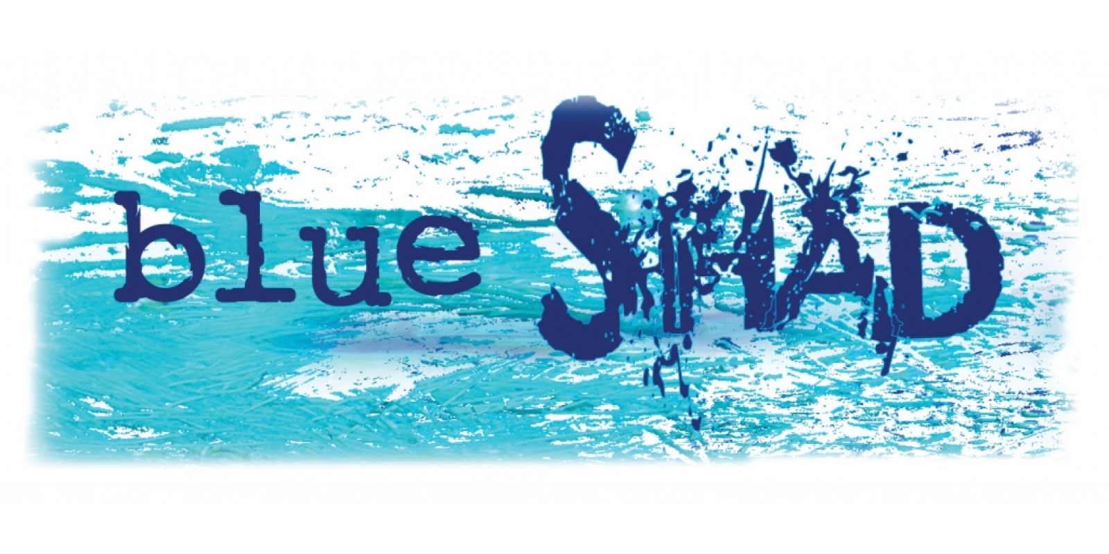 logo du blue shad de flashmer 