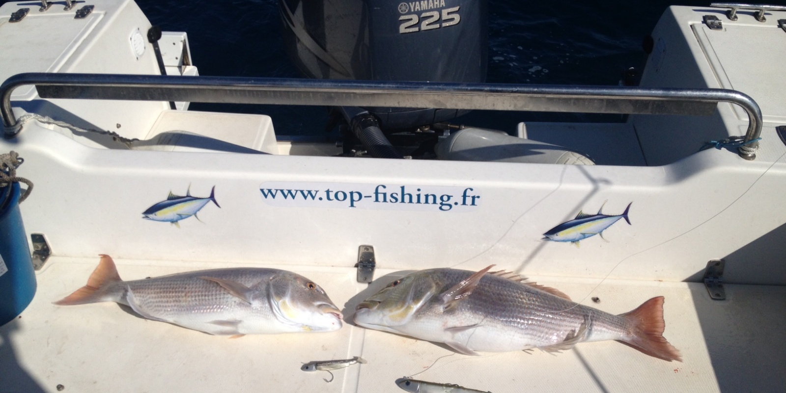 Philippe Maréchal de la Team Top Fishing, deux dentis au black minnow Philippe Maréchal de la Team Top Fishing, deux dentis au black minnow