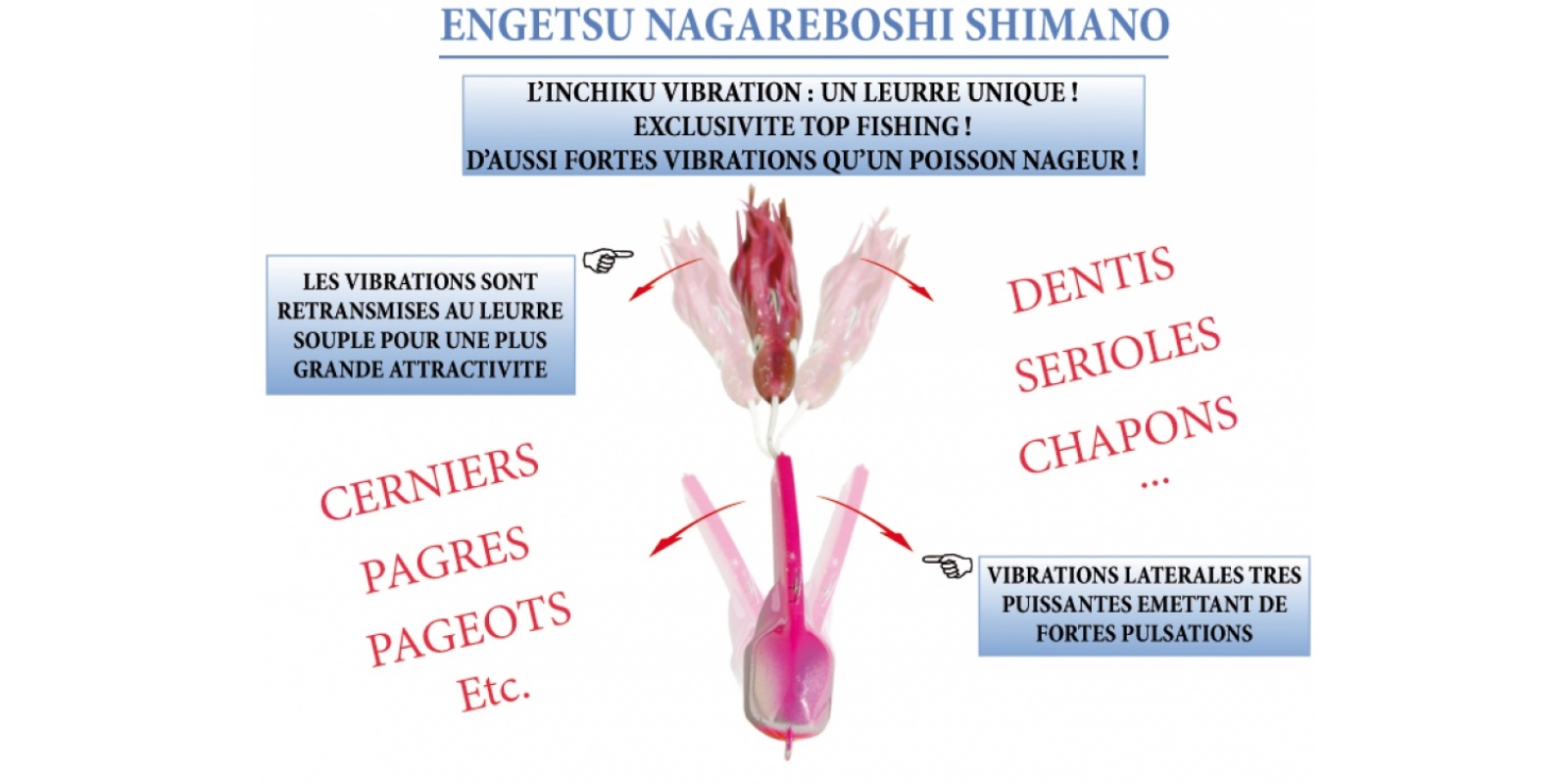 nage de l'engestsu nagareboshi