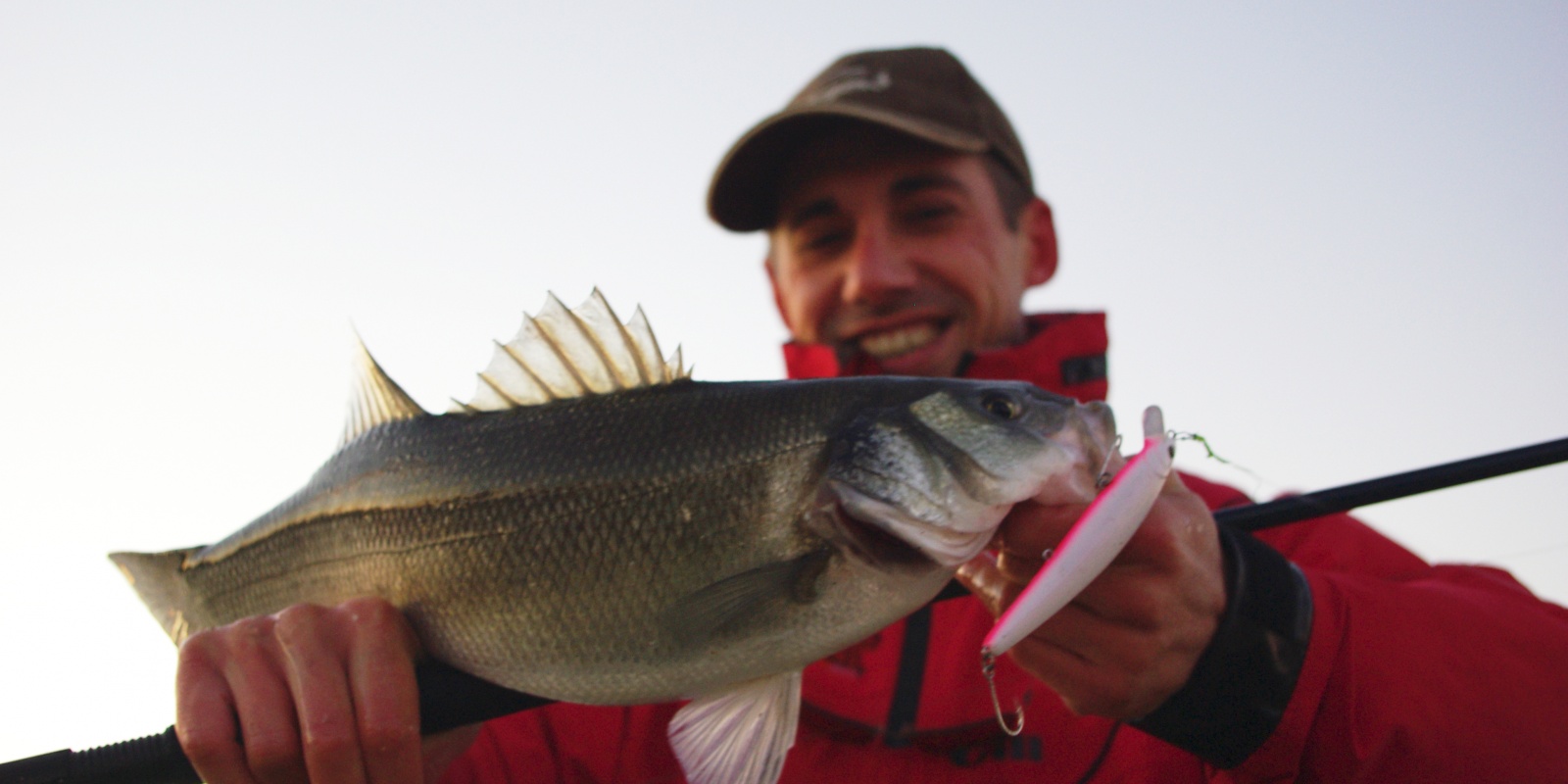 Poisson pris avec un jerkbait doté d’hameçons simples avec œillets en ligne