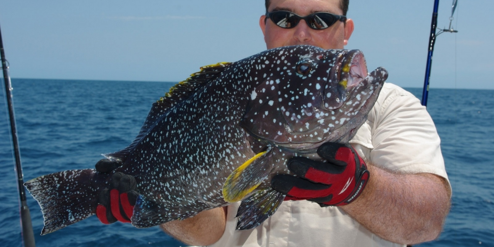 pêche d'un merou en exotique leurre pêche d'un merou en exotique leurre