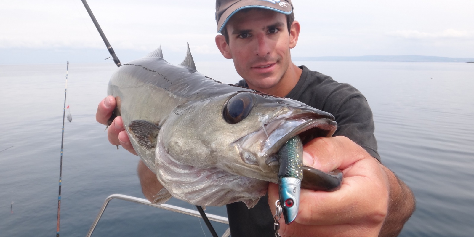 Un lieu jaune pêché grâce au blue shad Un lieu jaune pêché grâce au blue shad
