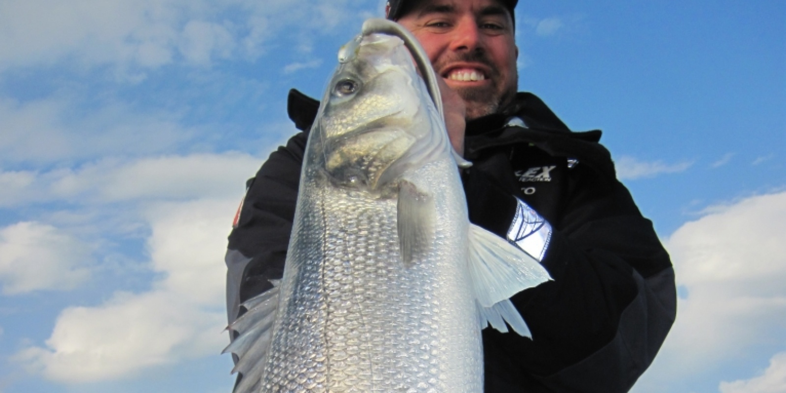 peche au loup avec pure fishing peche au loup avec pure fishing