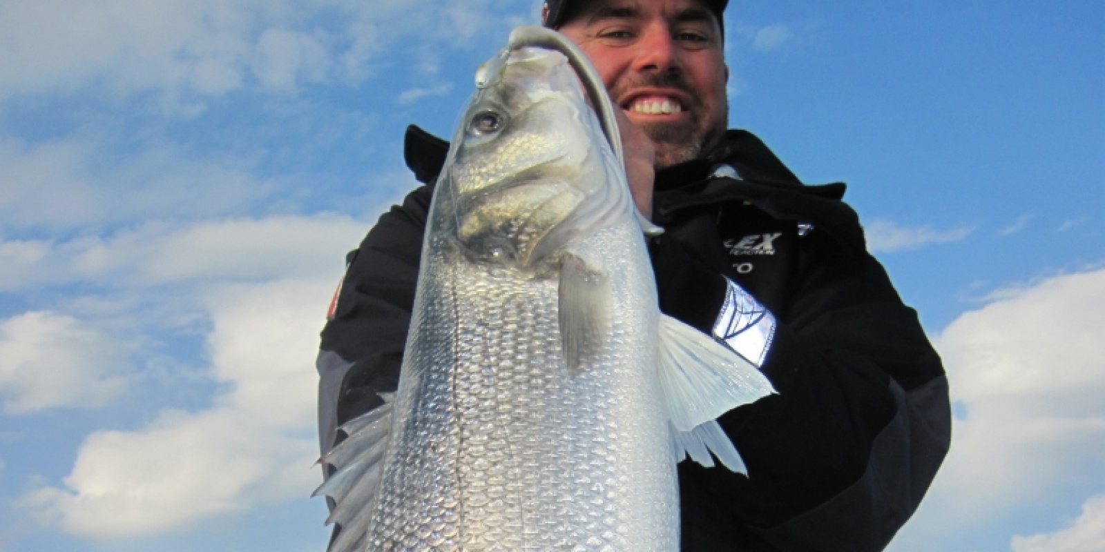 peche au loup avec pure fishing