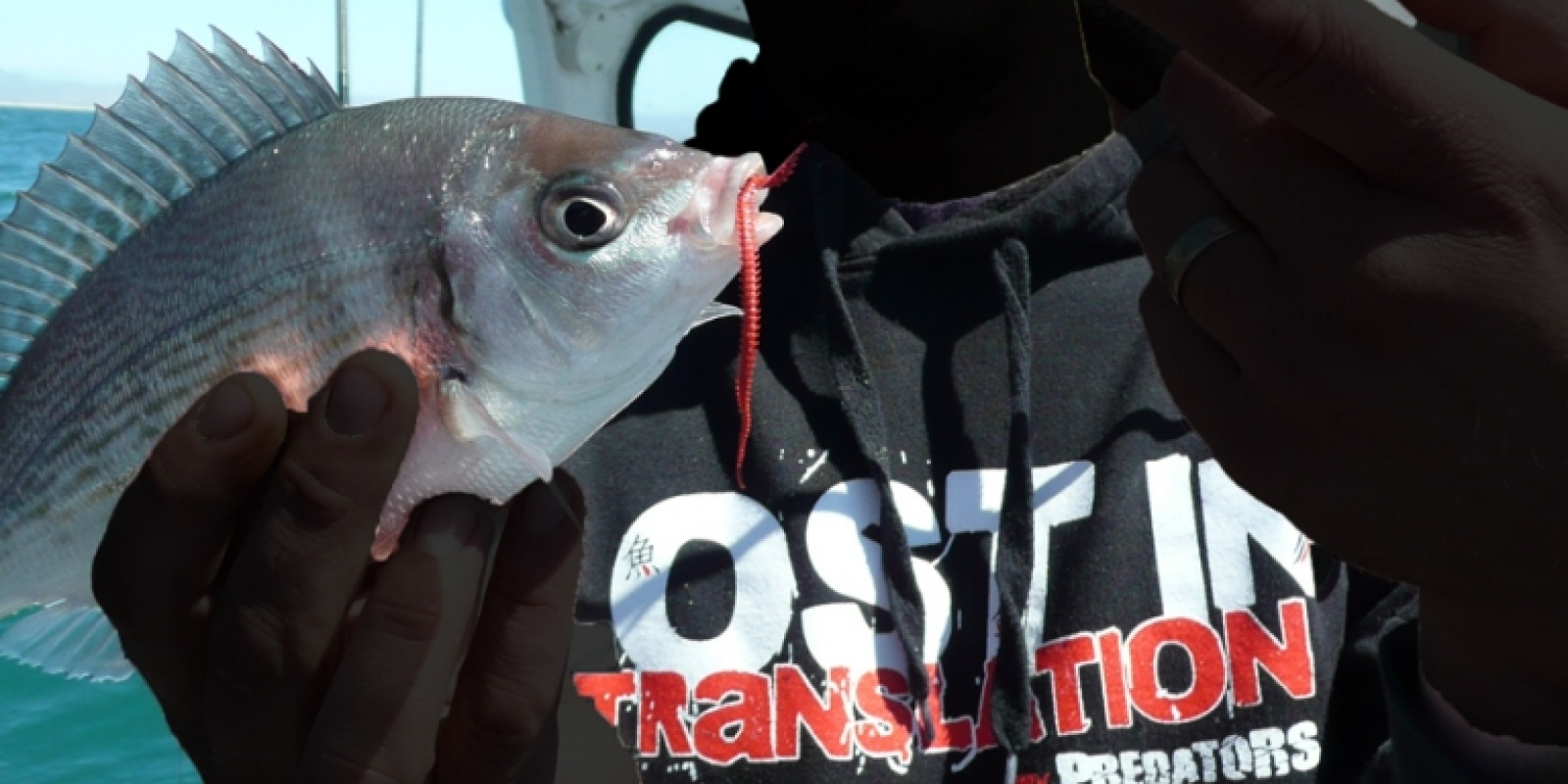 pêche au power isome 