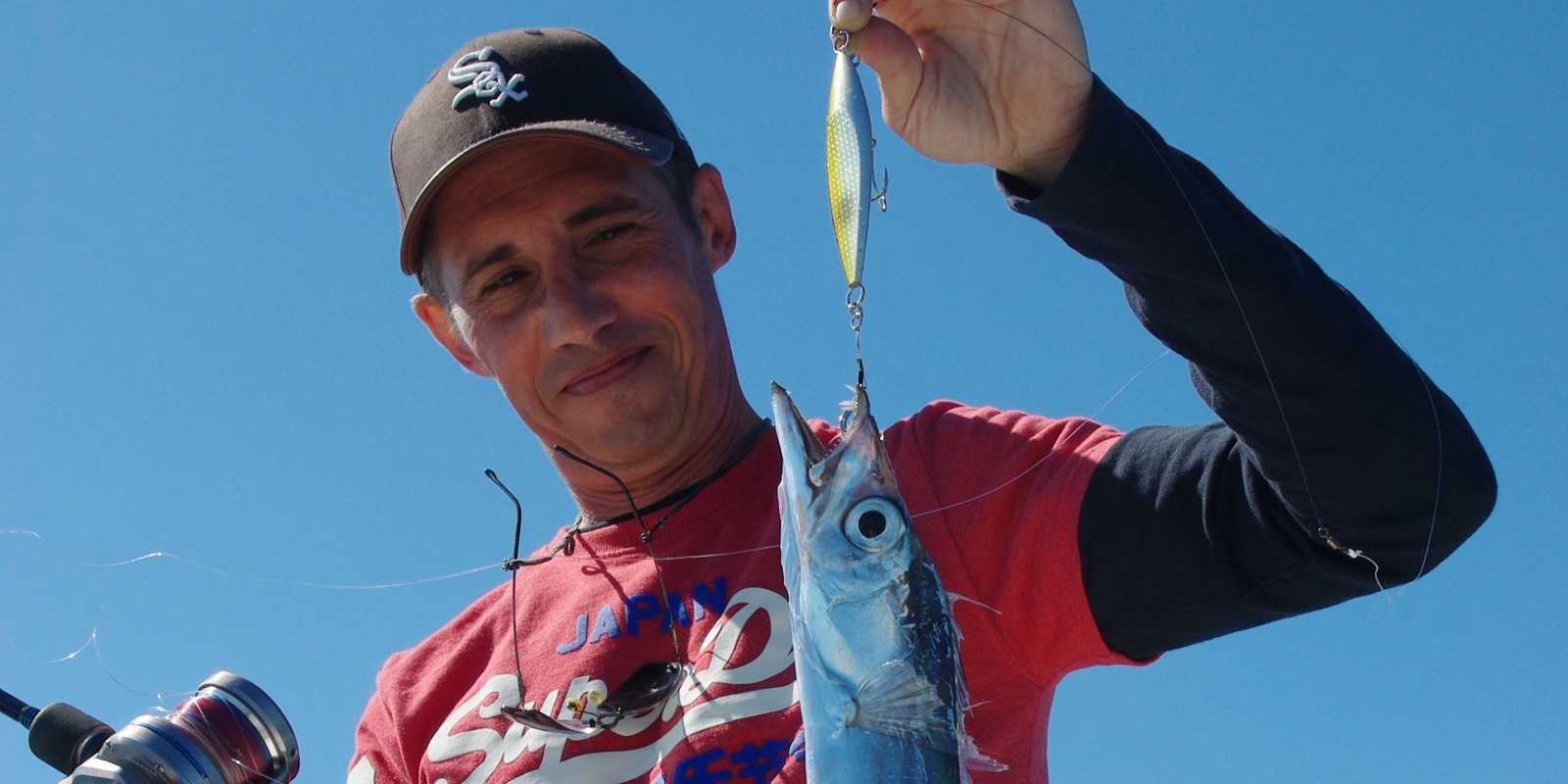 Sabre pris en slow jigging sur un Mr Slow jig Daiwa Sabre pris en slow jigging sur un Mr Slow jig Daiwa