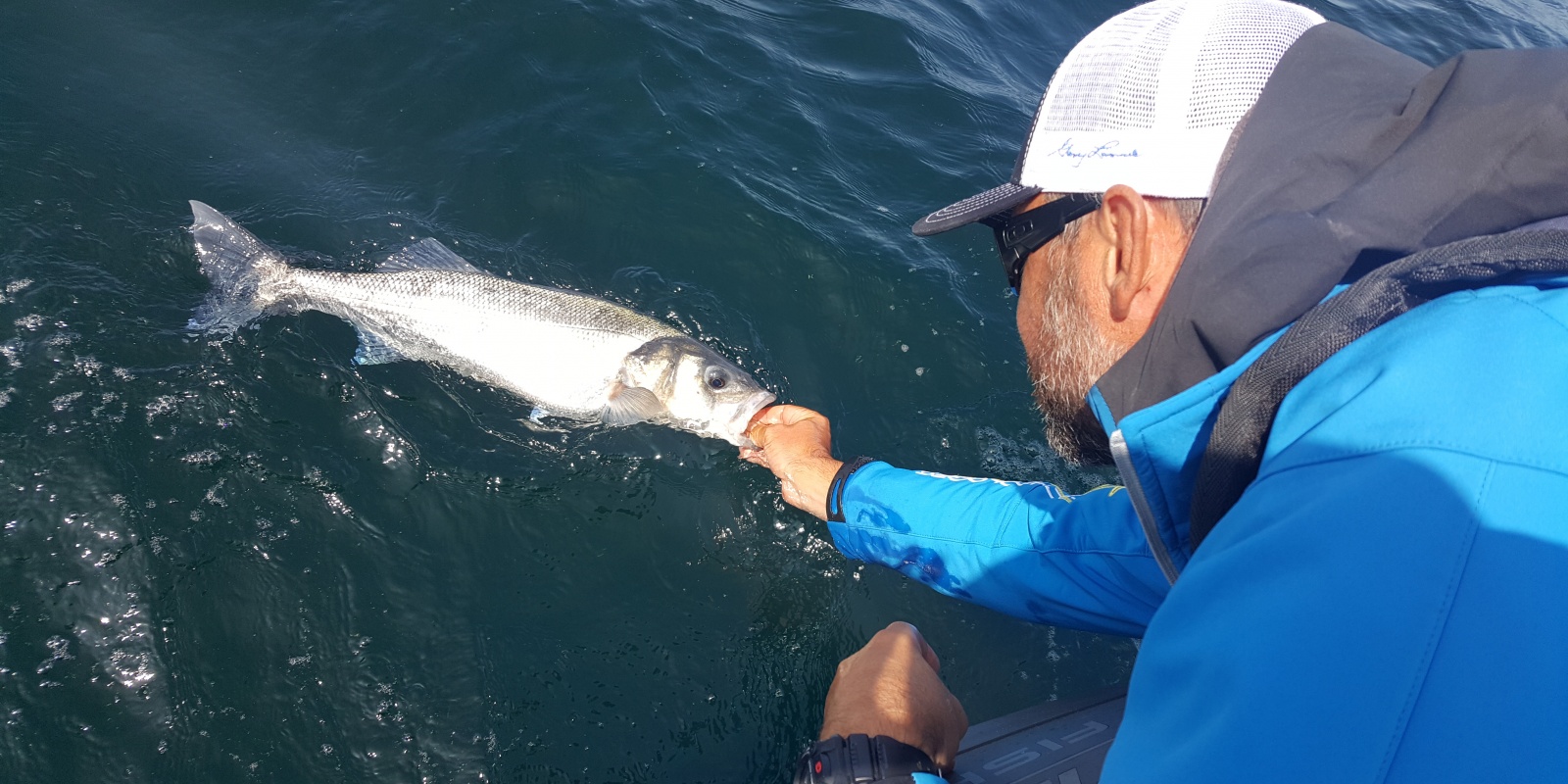 Bretagne. Il a attrapé un thon rouge de 247,8 kg, le pêcheur