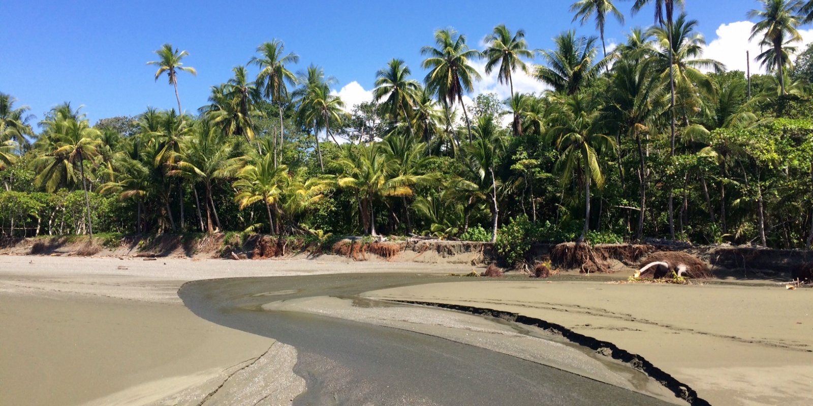 paysage exotique. paysage exotique.