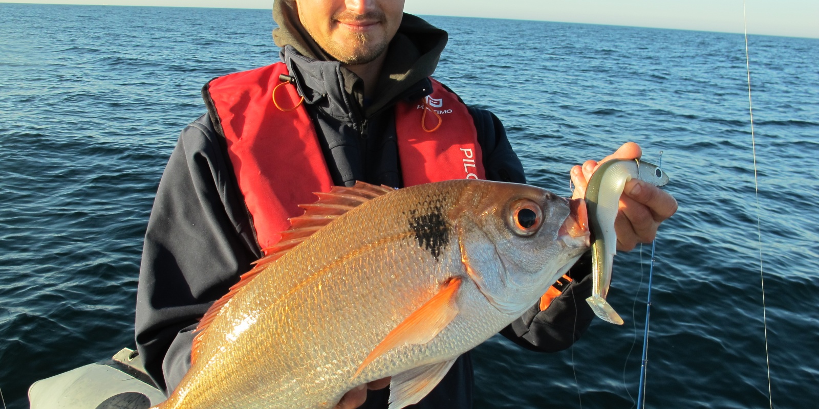 Dorade rose de 2.5 kg pris au Black Minnow Dorade rose de 2.5 kg pris au Black Minnow