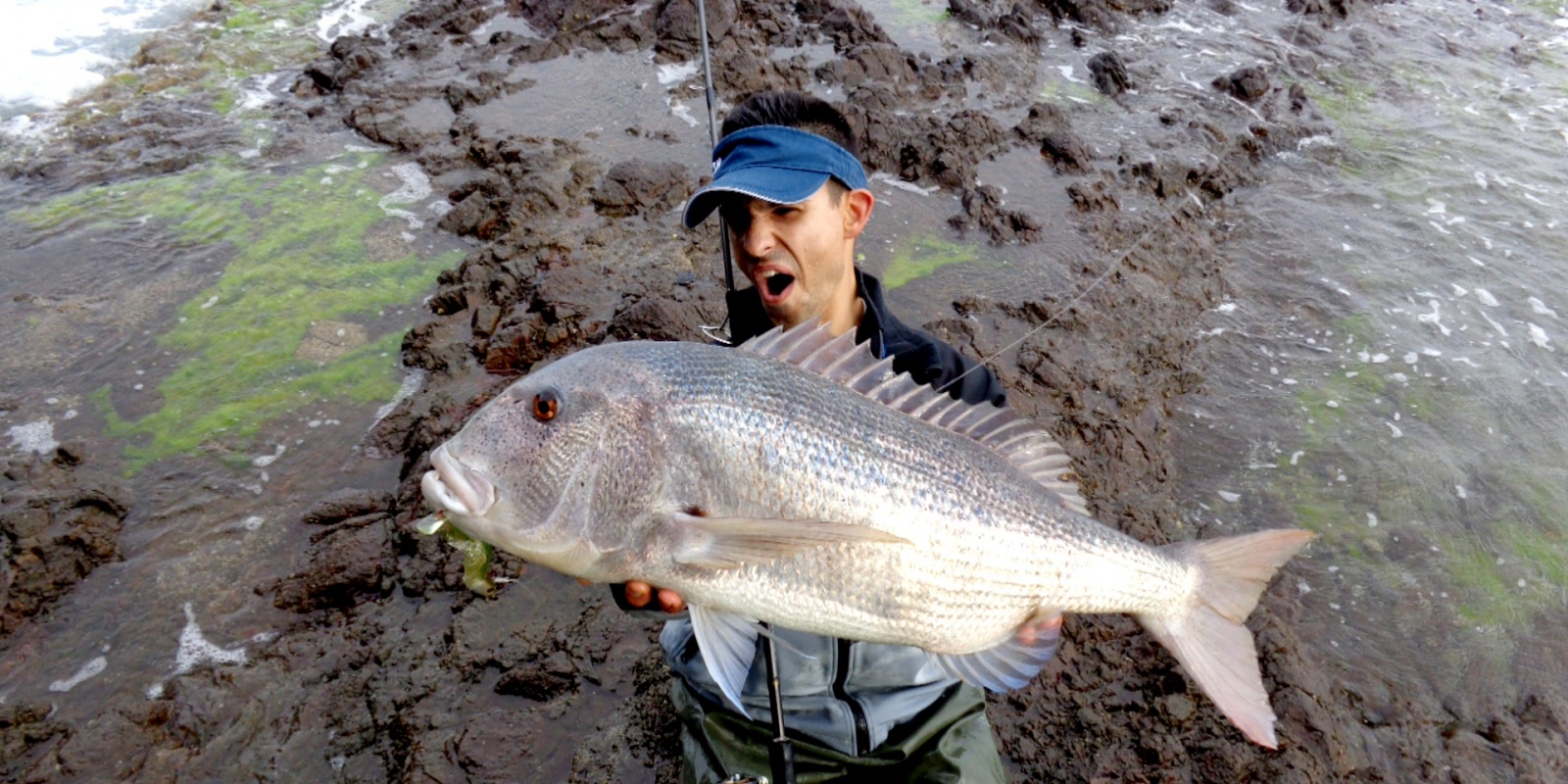 Prise exceptionnelle d’un denti de 2 kg au black minnow du bord ! 