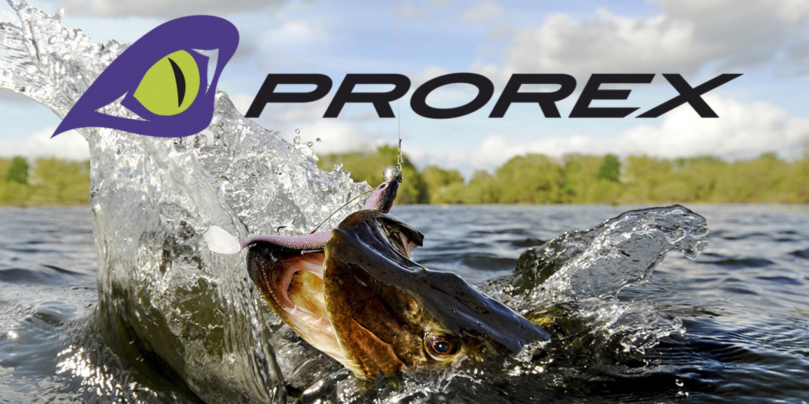 Prorex, la nouvelle marque Daiwa dédié à la pêche au brochet Prorex, la nouvelle marque Daiwa dédié à la pêche au brochet