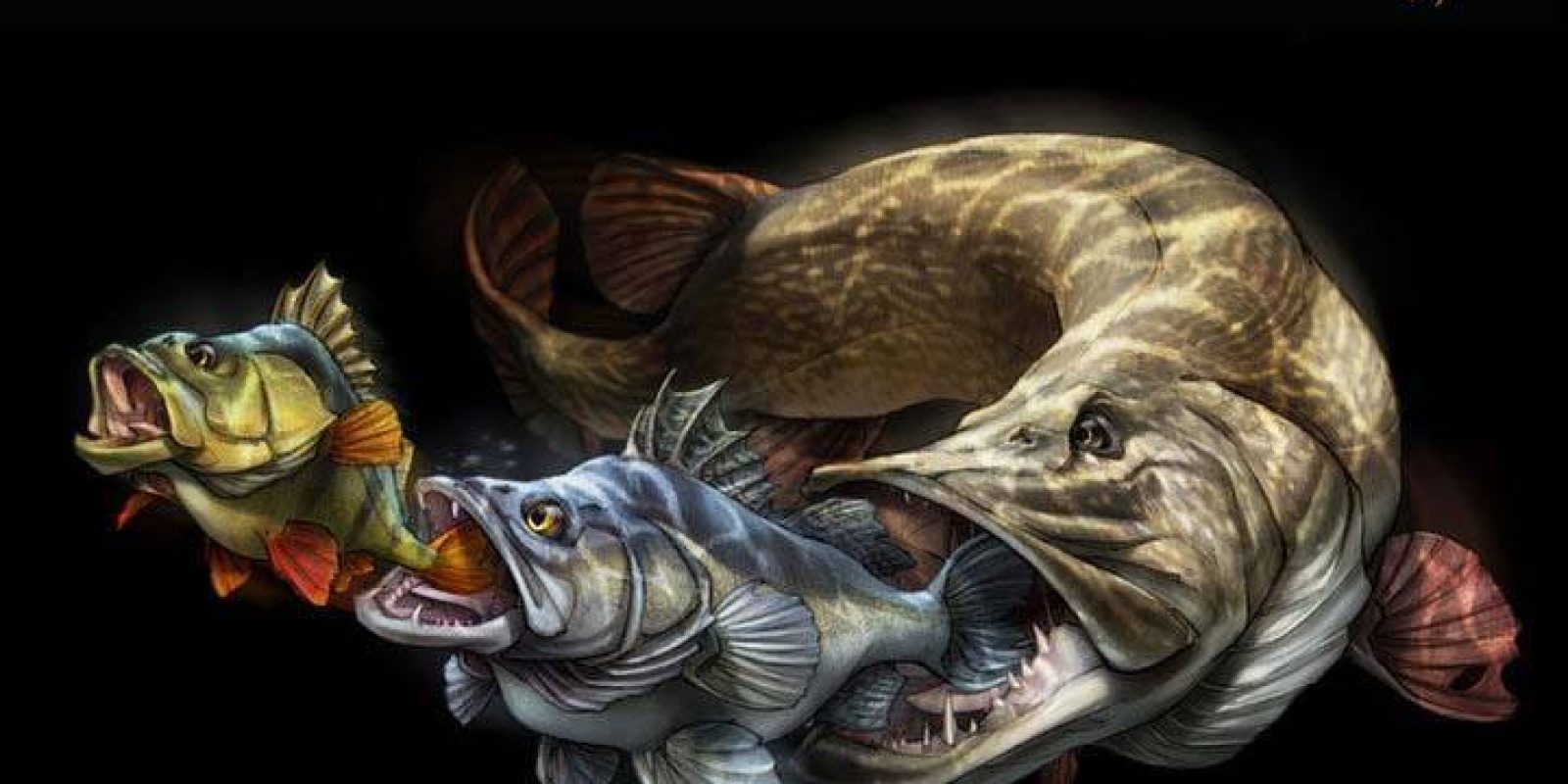 Savage Gear est une marque unique et très respecté dans la pêche des carnassiers. Savage Gear est une marque unique et très respecté dans la pêche des carnassiers.