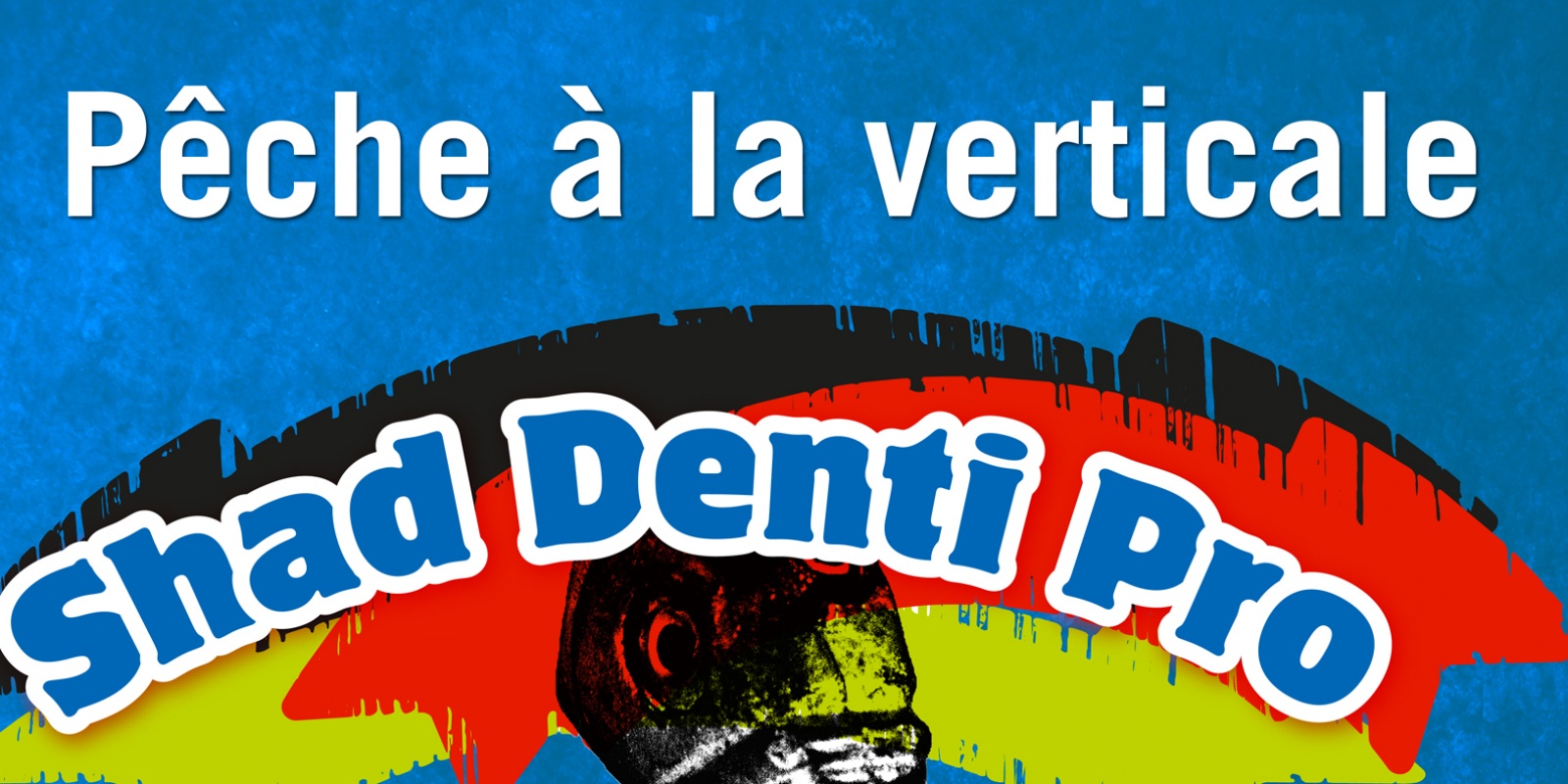 Affiche Shad Denti Pro Cagnes 2013
