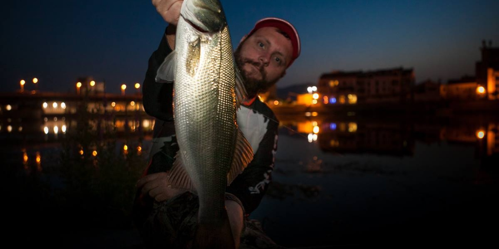 Slit shad au crepuscule