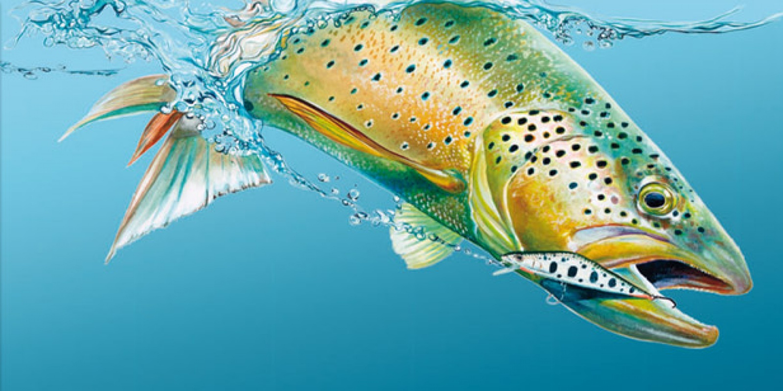 SMITH LTD propose en marge de sa série de leurres réputés, des cannes jig très haut de gamme qui jouissent d'une réputation d'enfer parmi les meilleurs spécialistes de la pêche au jig. SMITH LTD propose en marge de sa série de leurres réputés, des cannes jig très haut de gamme qui jouissent d'une réputation d'enfer parmi les meilleurs spécialistes de la pêche au jig.