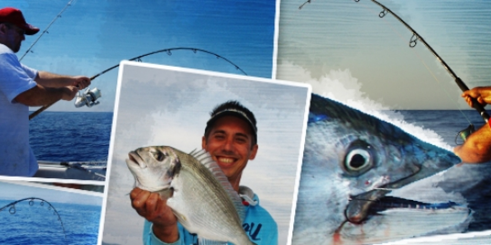 Top 5 Fluorocarbones