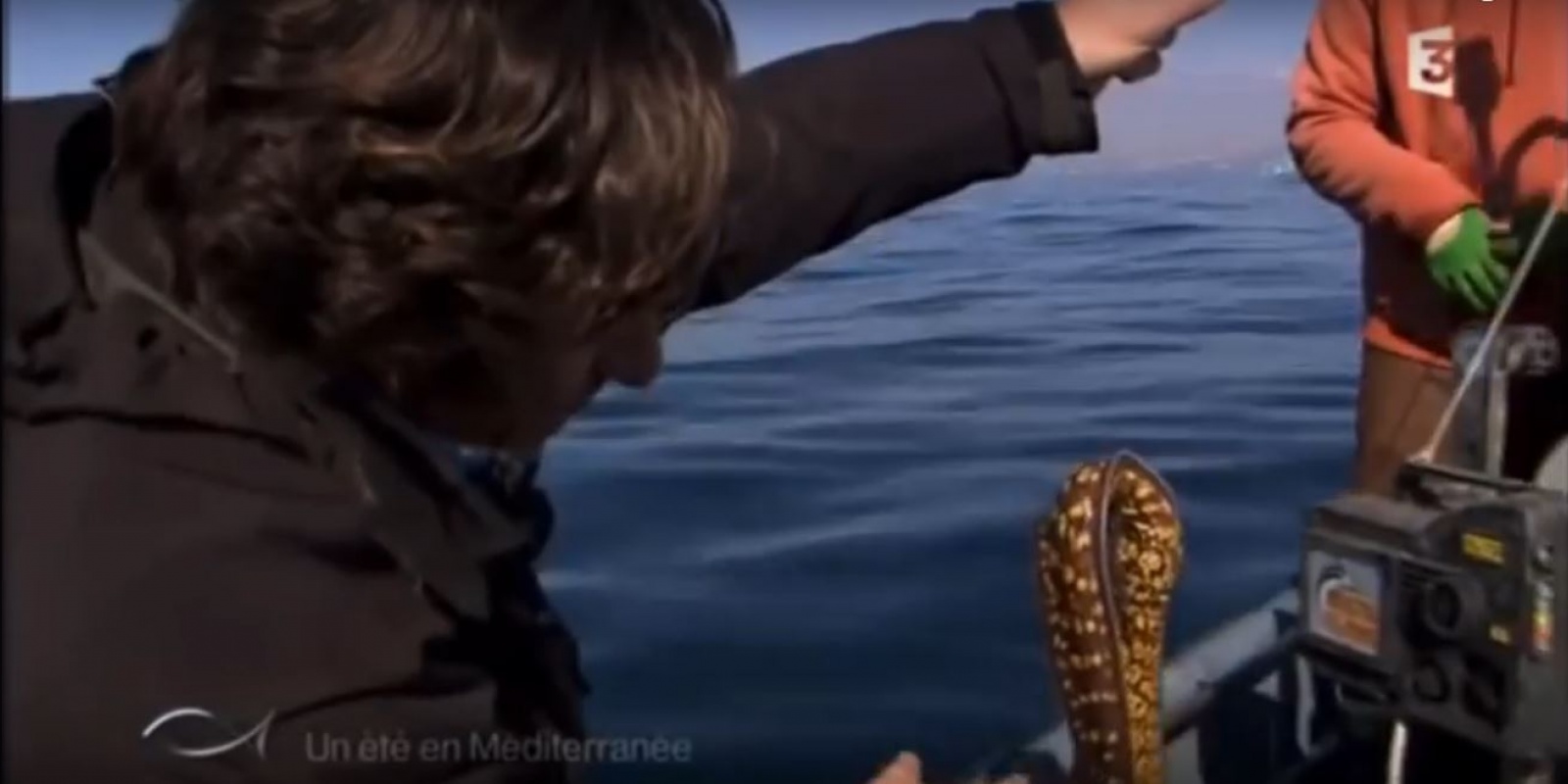 montage palangre mediterranee