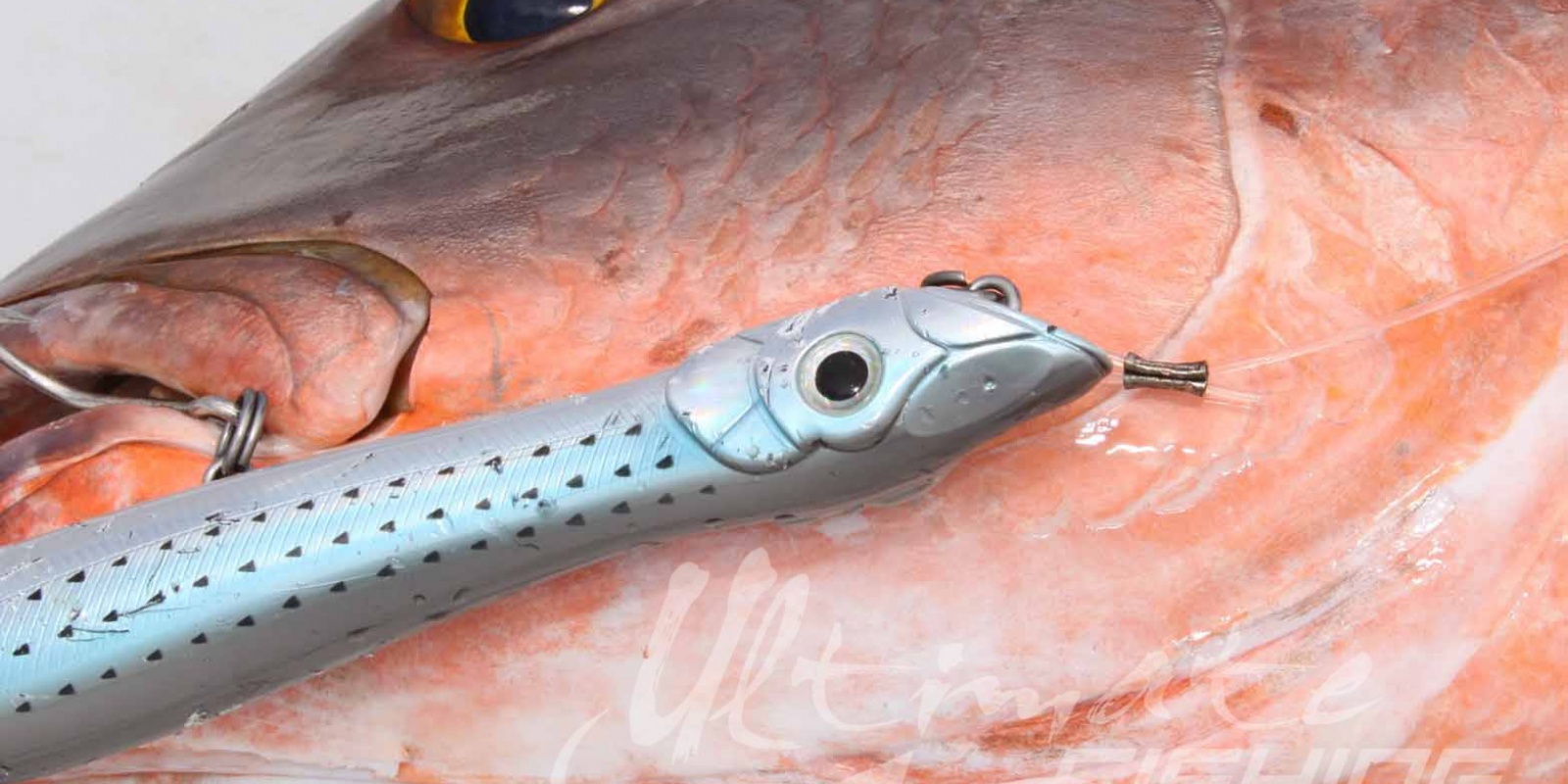 Tropic Clinic est au catalogue Ultimate Fishing depuis 2013. Tropic Clinic est au catalogue Ultimate Fishing depuis 2013.