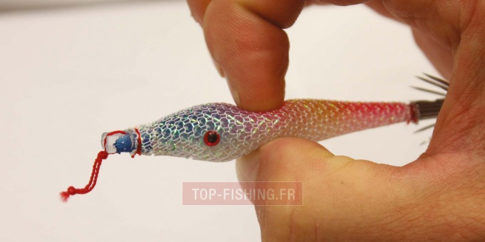 Flashmer est un des plus grands spécialistes de la pêche des céphalopodes. Flashmer est un des plus grands spécialistes de la pêche des céphalopodes.