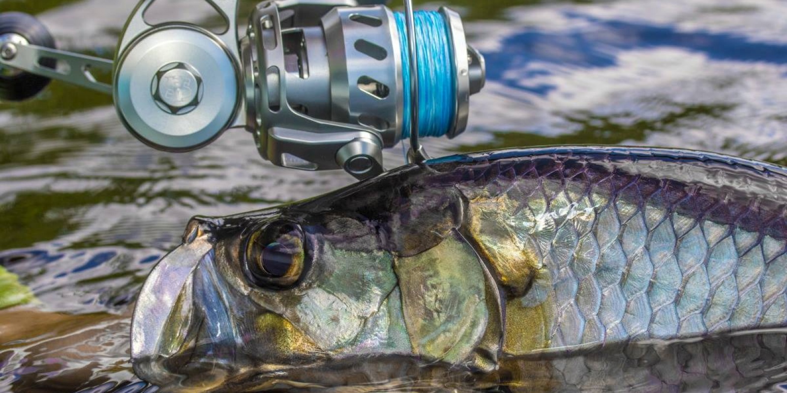 Equipement de pêche extrême très très haut de gamme, trop peut-être ?