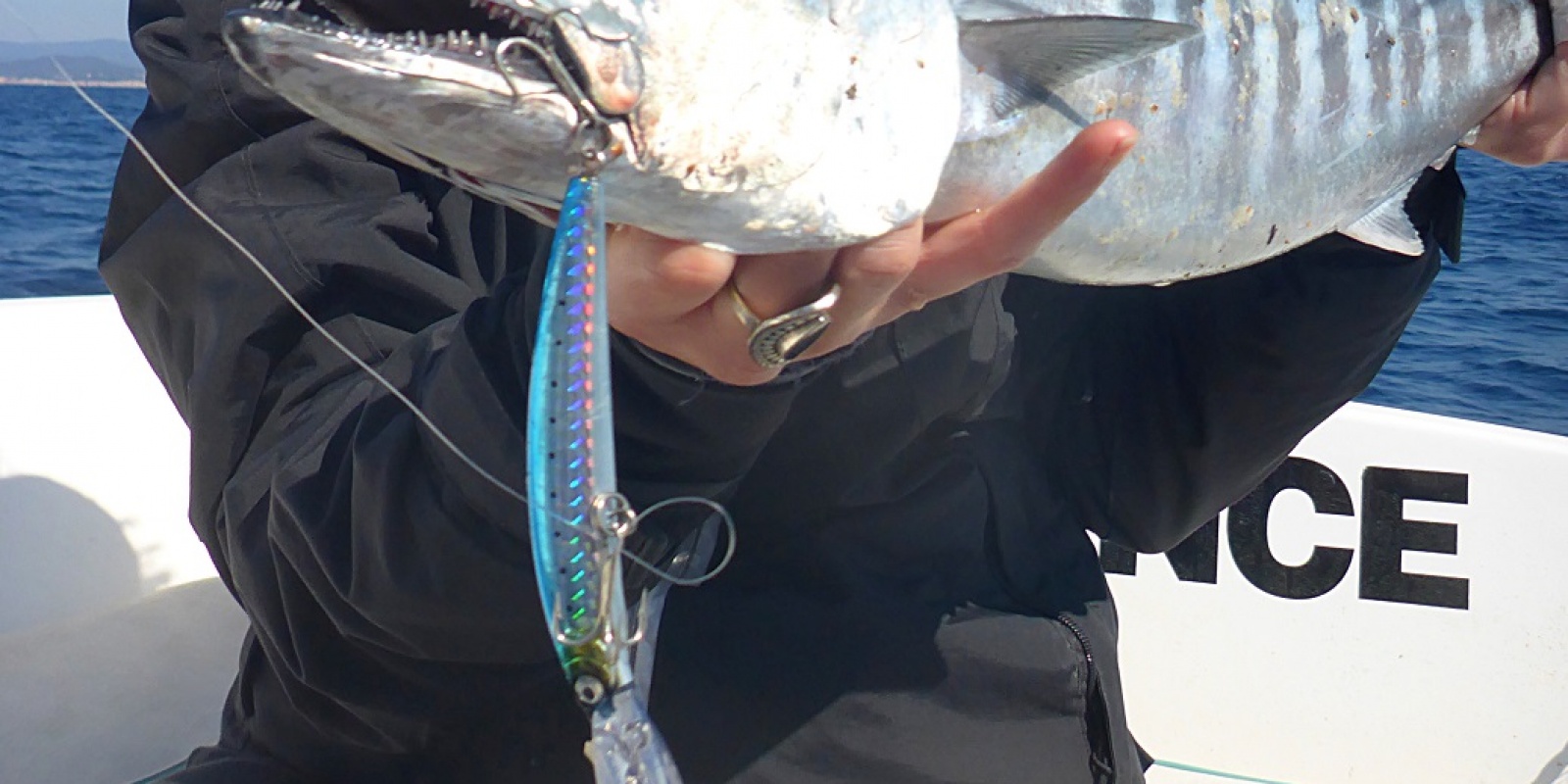 Le flurocarbone indispensable pour pêcher la pélamide en mer ! Le flurocarbone indispensable pour pêcher la pélamide en mer !