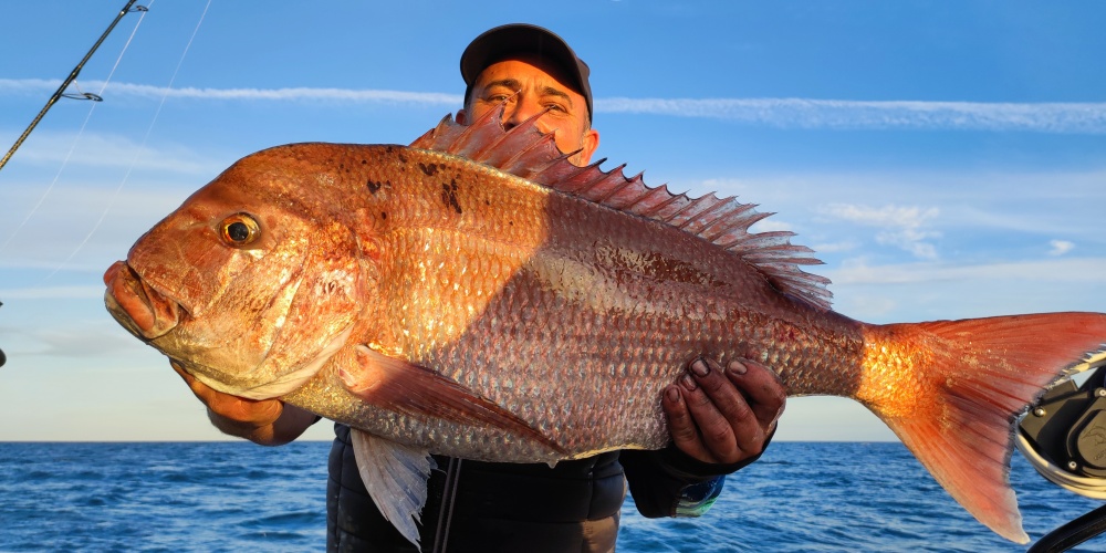 Superbe Sama pris avec un Fireball Top Sea ! Superbe Sama pris avec un Fireball Top Sea !