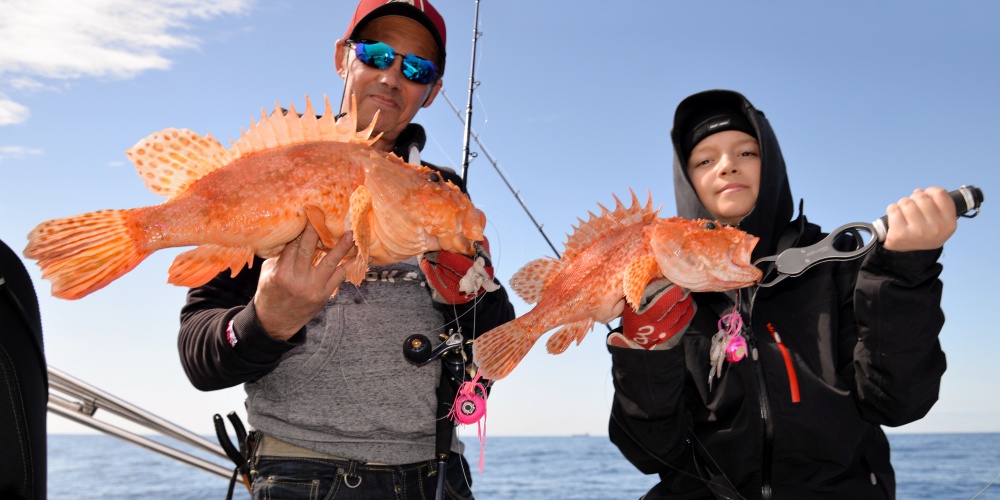 Beaux chapons pris en pêche profonde !