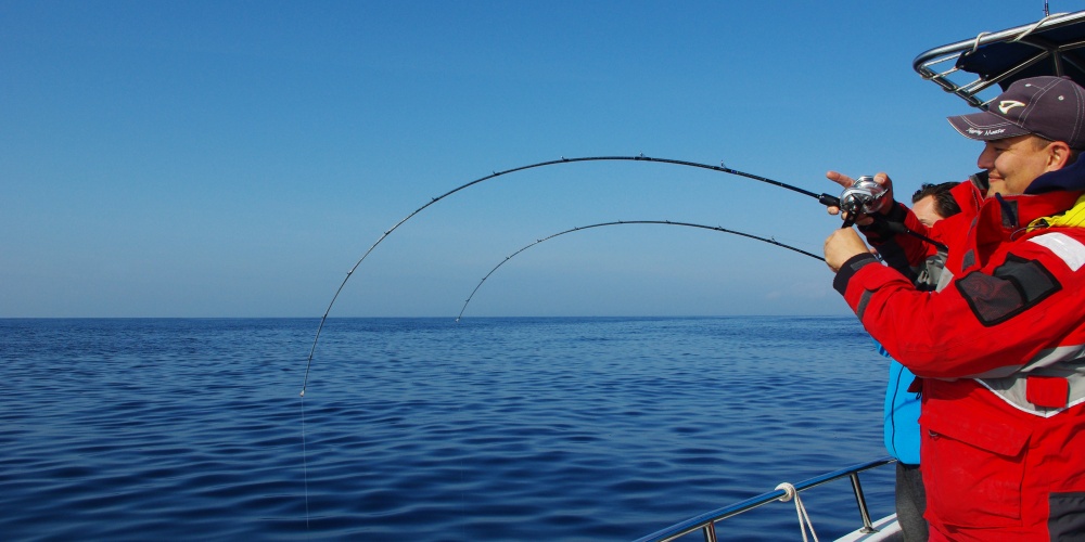 Les fluorocarbones et tresses Seaguar sont d’une exceptionnelle qualité !