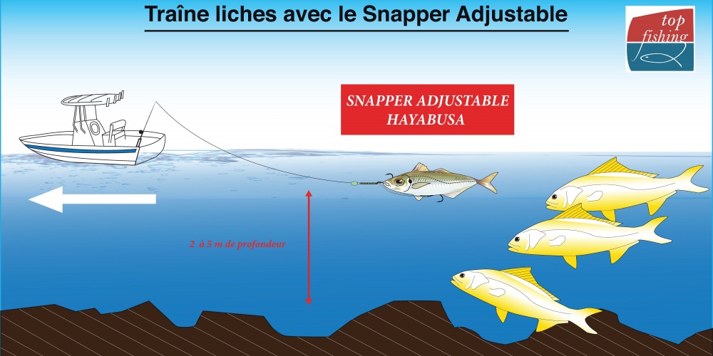 Le montage Snapper Adjustable Hayabusa est parfait utilisé sans plomb pour les pêches peu profondes : le top pour la liche ! Le montage Snapper Adjustable Hayabusa est parfait utilisé sans plomb pour les pêches peu profondes : le top pour la liche !